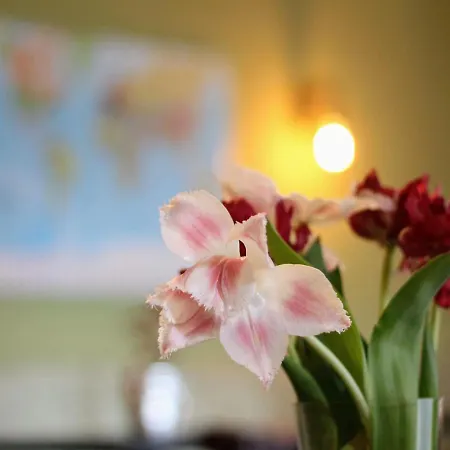 ベッド・アンド・ブレックファスト De Grote Byvanck 3*