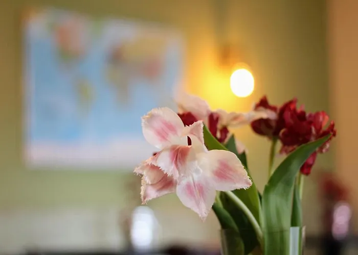 住宿加早餐酒店 大百凡克住宿加早餐酒店 3*